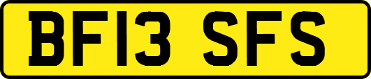 BF13SFS