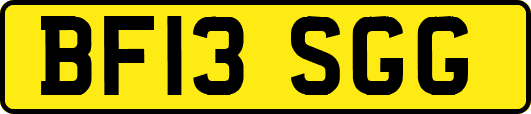 BF13SGG