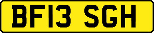 BF13SGH