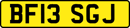 BF13SGJ