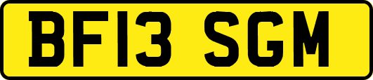 BF13SGM