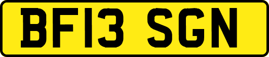 BF13SGN