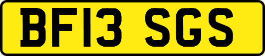 BF13SGS