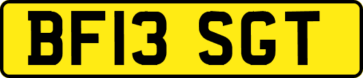 BF13SGT