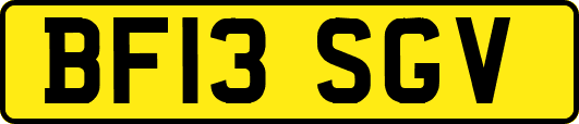 BF13SGV