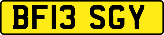 BF13SGY