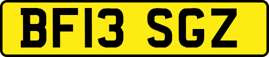 BF13SGZ