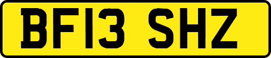 BF13SHZ