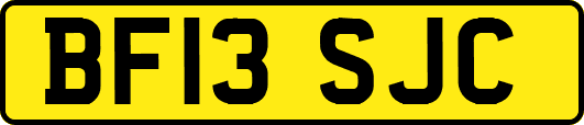 BF13SJC