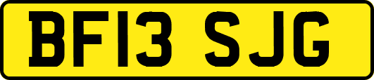 BF13SJG