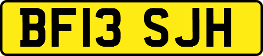 BF13SJH