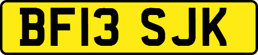 BF13SJK