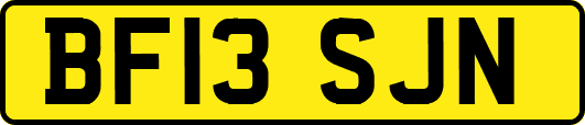 BF13SJN