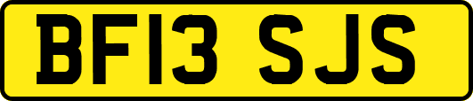 BF13SJS