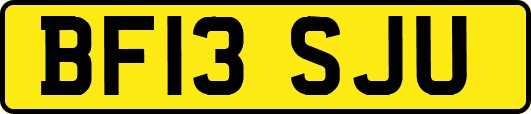 BF13SJU