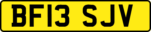 BF13SJV