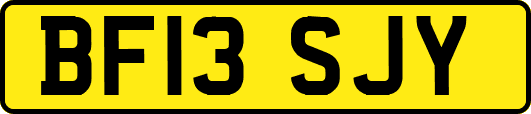BF13SJY