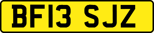 BF13SJZ