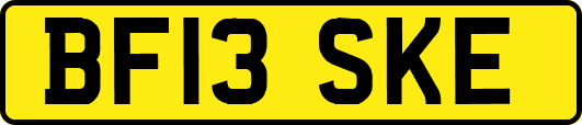 BF13SKE