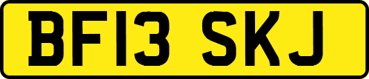 BF13SKJ
