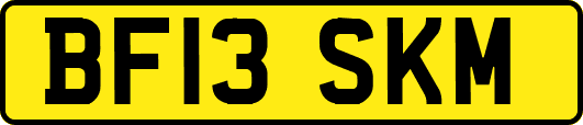 BF13SKM