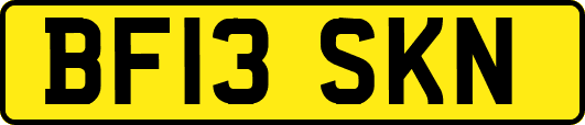 BF13SKN