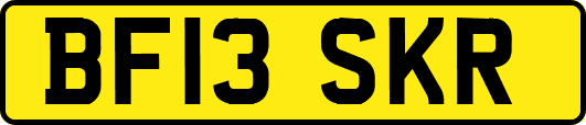 BF13SKR