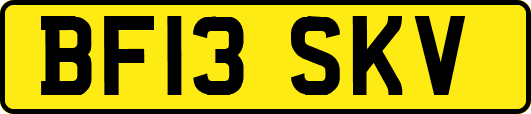 BF13SKV