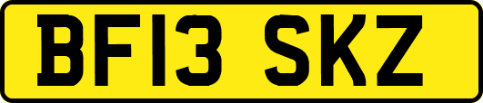 BF13SKZ