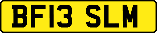BF13SLM