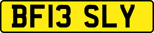 BF13SLY