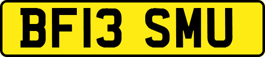 BF13SMU