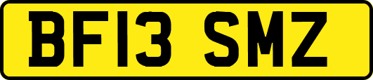 BF13SMZ