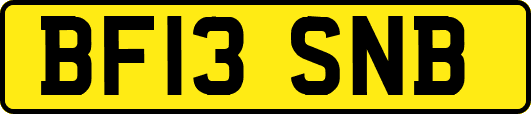 BF13SNB