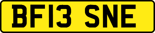BF13SNE