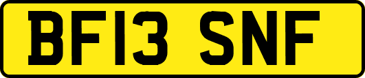 BF13SNF