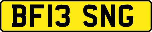 BF13SNG