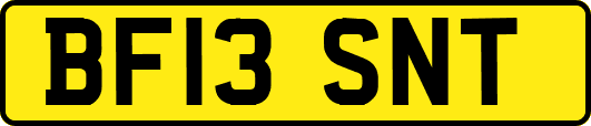 BF13SNT