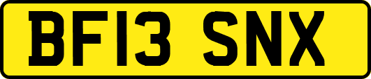 BF13SNX
