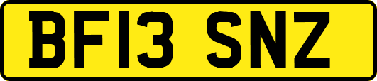 BF13SNZ