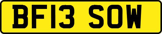 BF13SOW