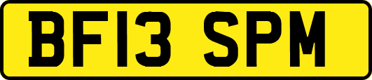 BF13SPM