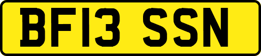 BF13SSN