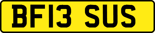 BF13SUS
