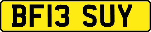BF13SUY