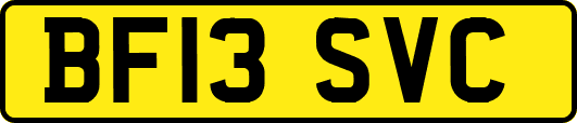 BF13SVC