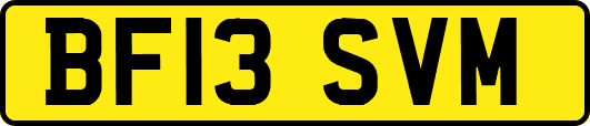 BF13SVM