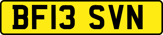 BF13SVN