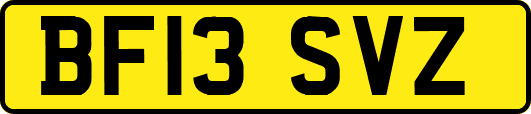 BF13SVZ