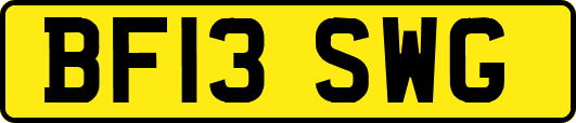 BF13SWG
